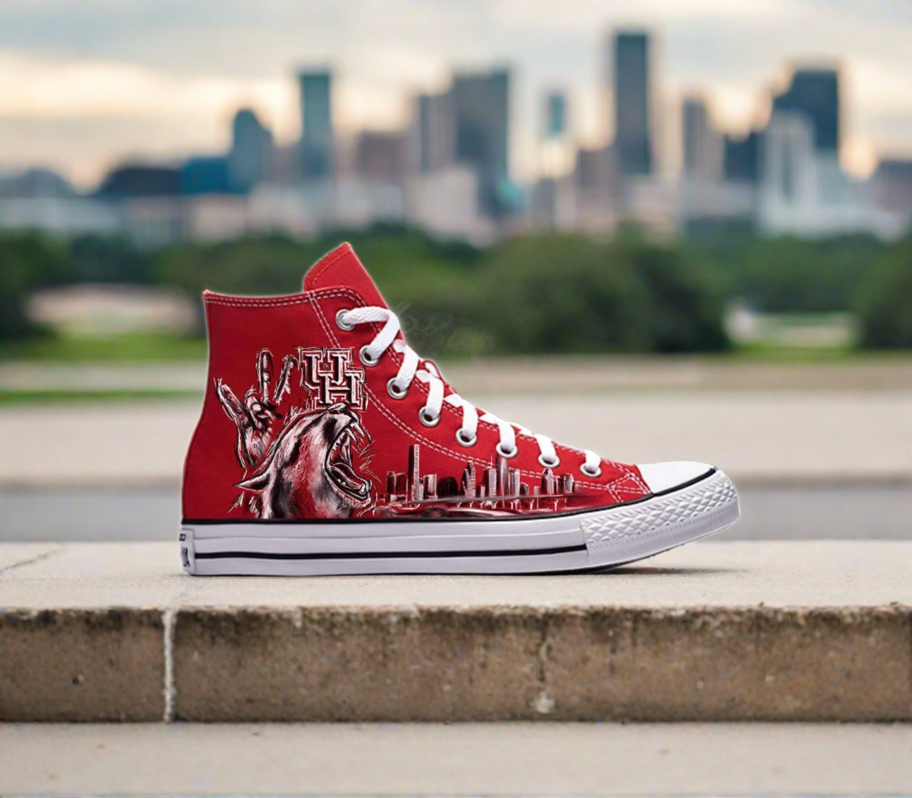 Cougar Kicks | U of H Converse - Androo's Art