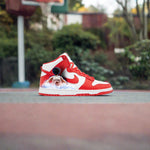 Skywalker | Dr J Dunk High - Androo's Art